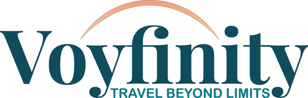 Voyfinity logo