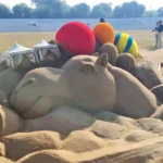 Matsya Festival