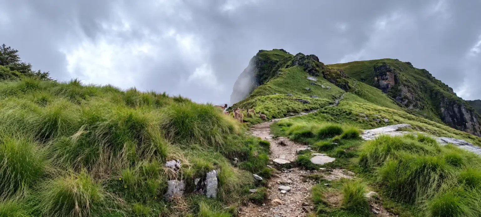 Tungnath trek